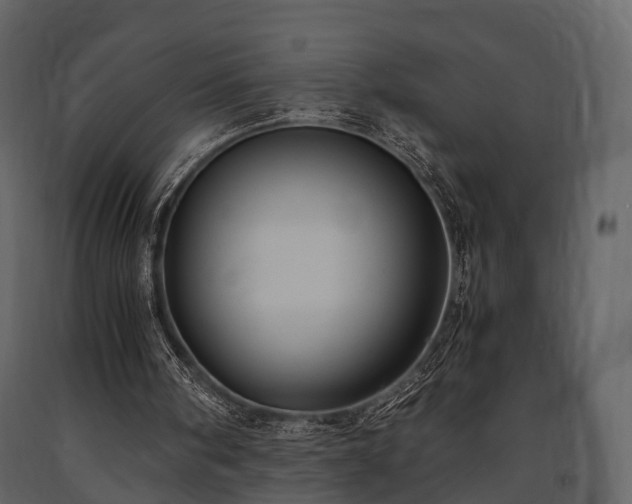 X0000091650098200708231230