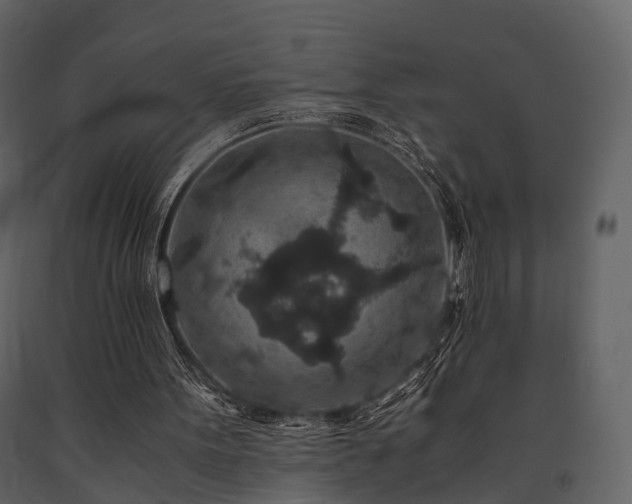 X0000091650099200708231230