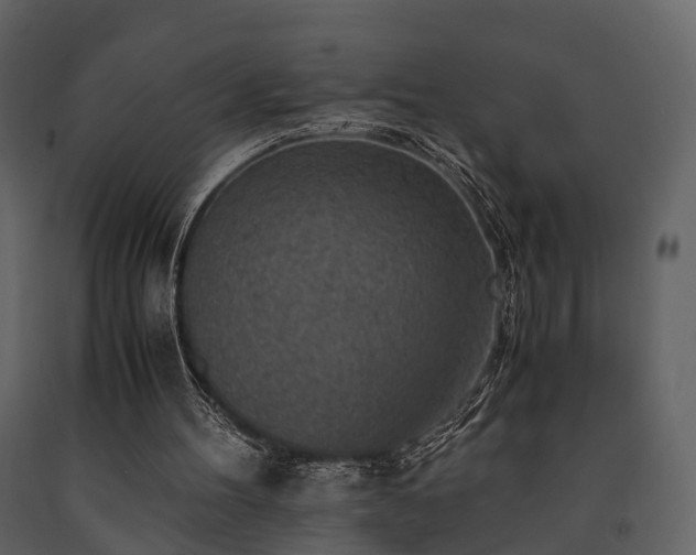 X0000091650100200708231230