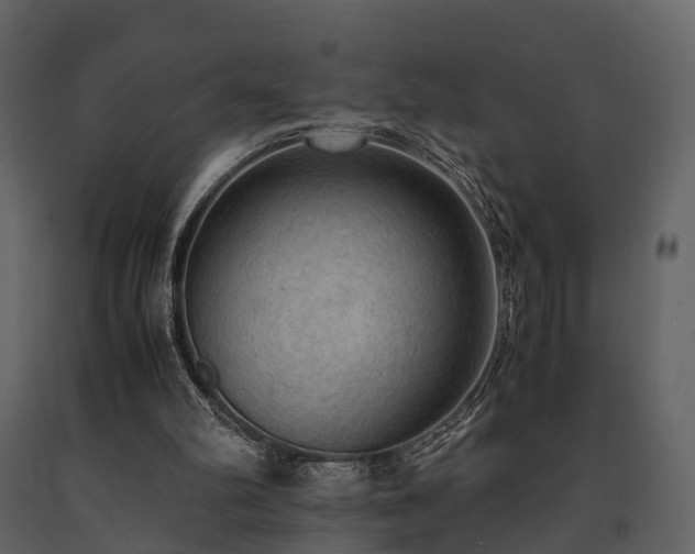 X0000091650102200708231230