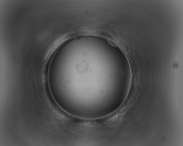 X0000091650103200708231230