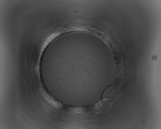 X0000091650104200708231230
