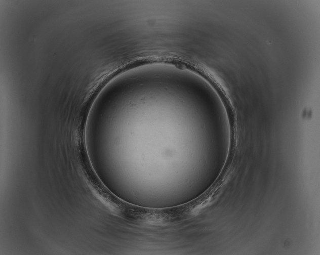 X0000091650105200708231230