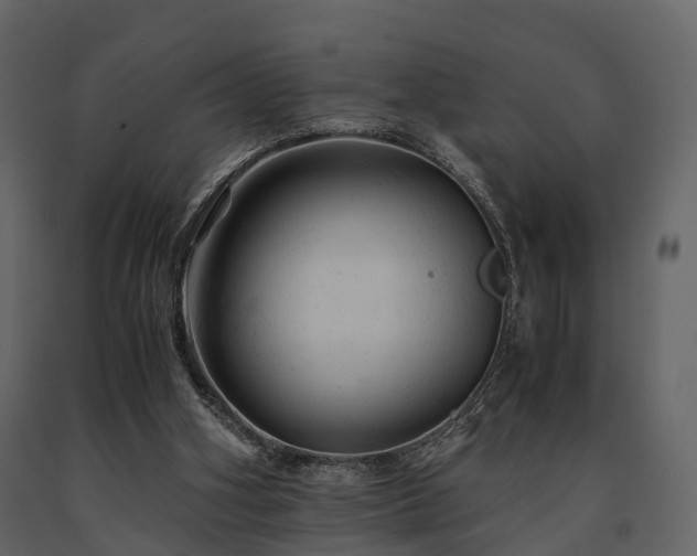 X0000091650106200708231230