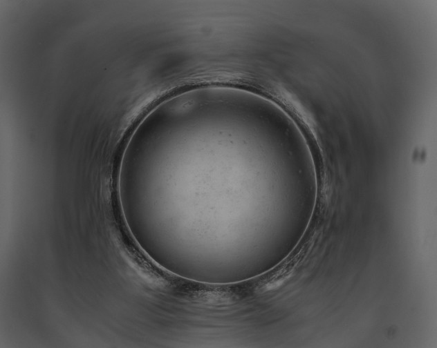 X0000091650107200708231230