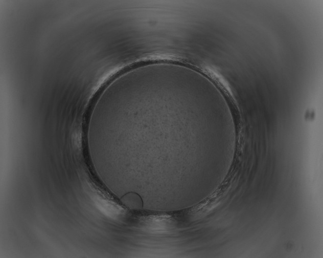 X0000091650108200708231230