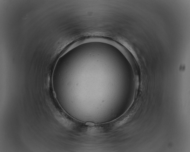 X0000091650109200708231230