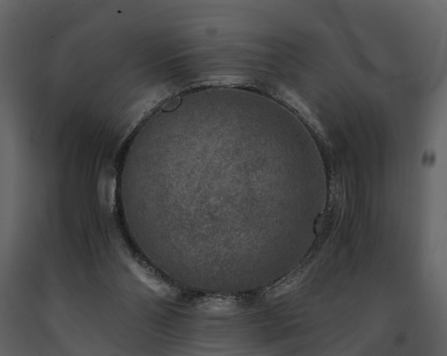 X0000091650110200708231230