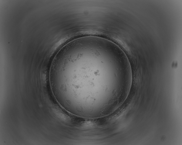 X0000091650111200708231230