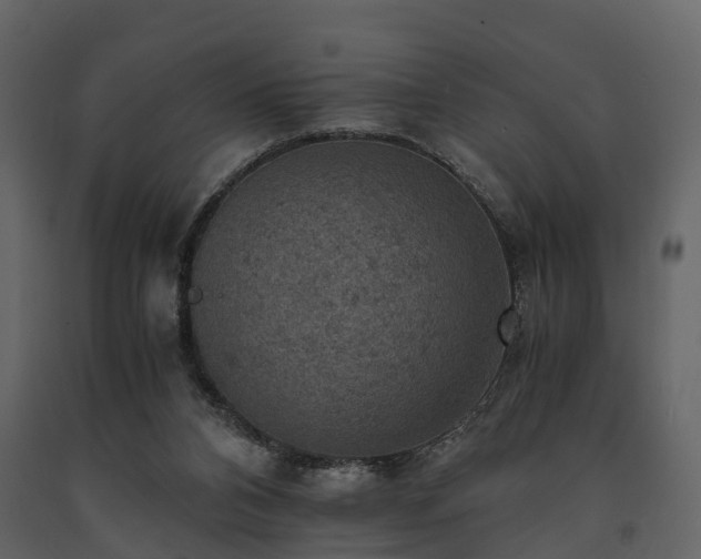 X0000091650112200708231230