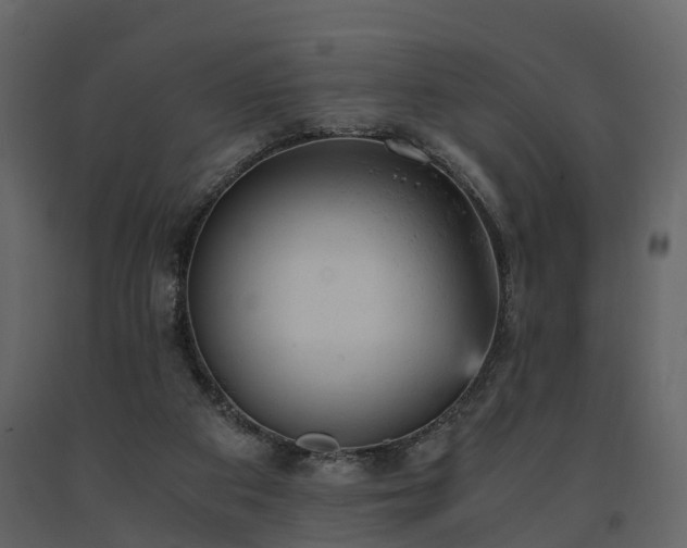 X0000091650113200708231230