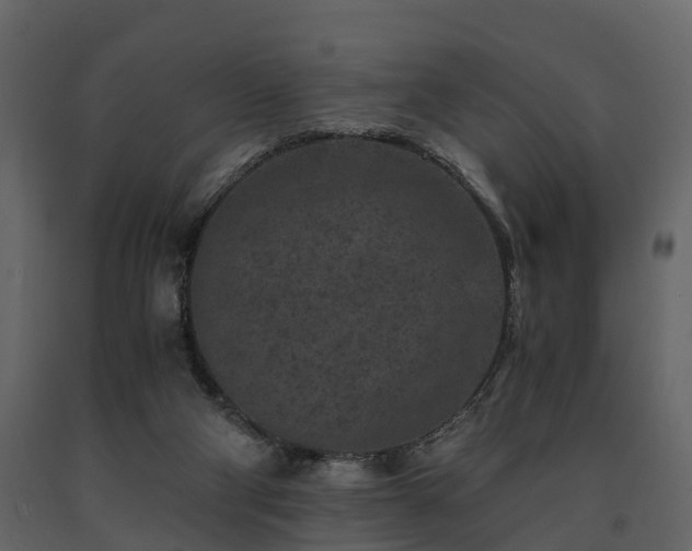 X0000091650114200708231230