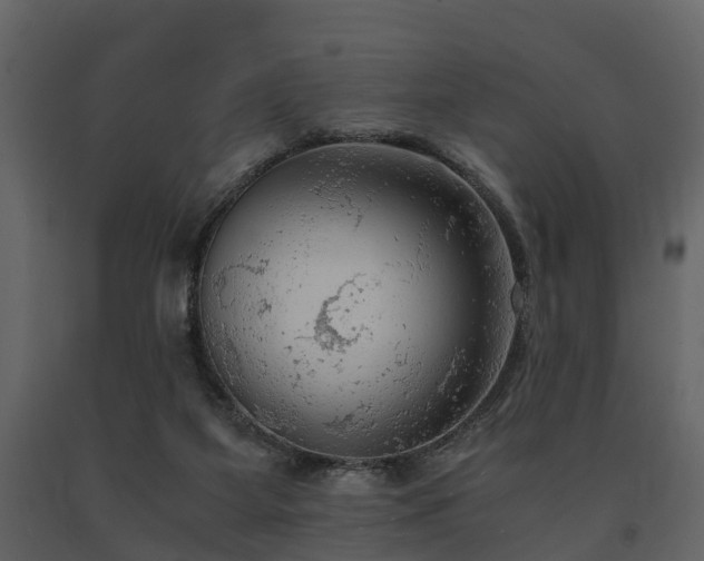 X0000091650115200708231230