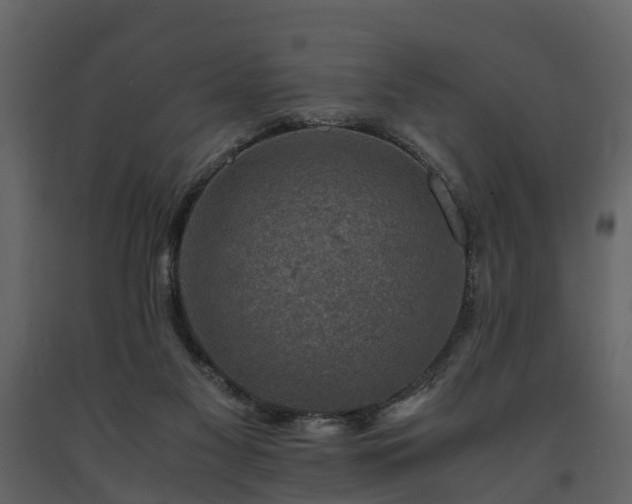 X0000091650117200708231230