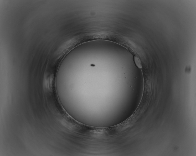 X0000091650118200708231230
