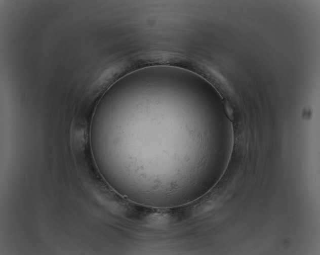X0000091650119200708231230