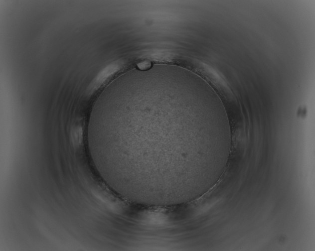 X0000091650120200708231229