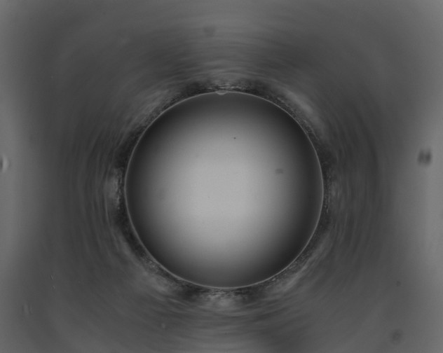 X0000091650121200708231229