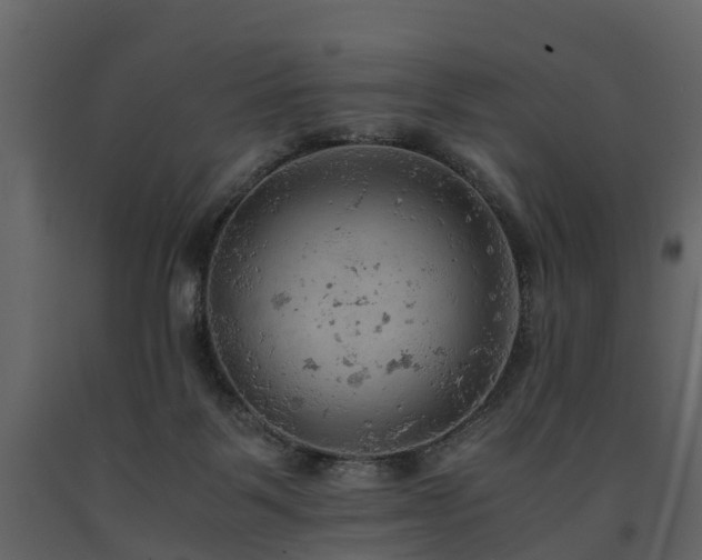 X0000091650123200708231229