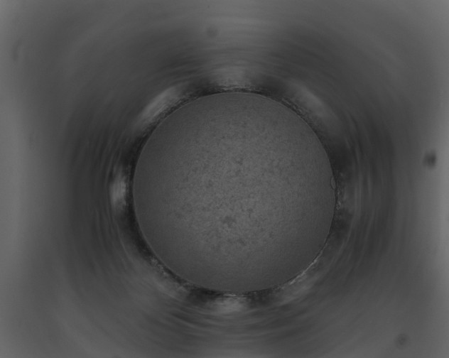 X0000091650124200708231229