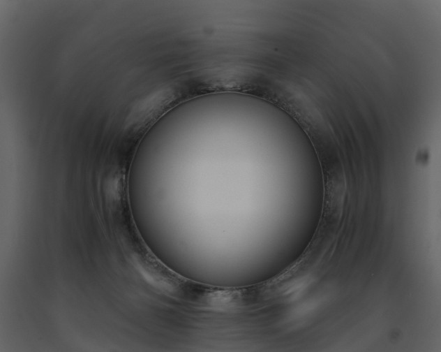 X0000091650126200708231229