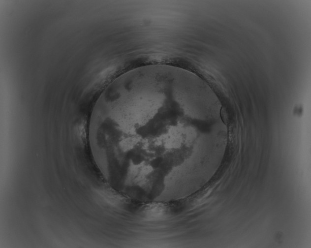 X0000091650127200708231229