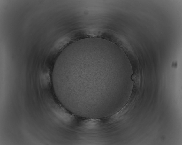 X0000091650128200708231229
