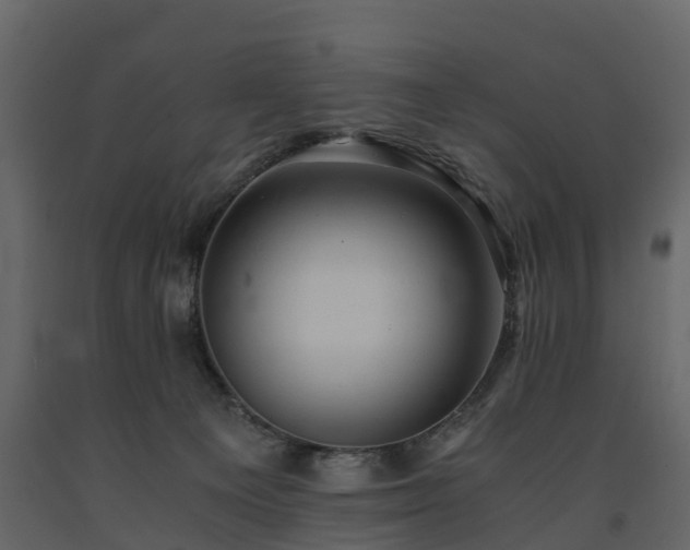 X0000091650129200708231229