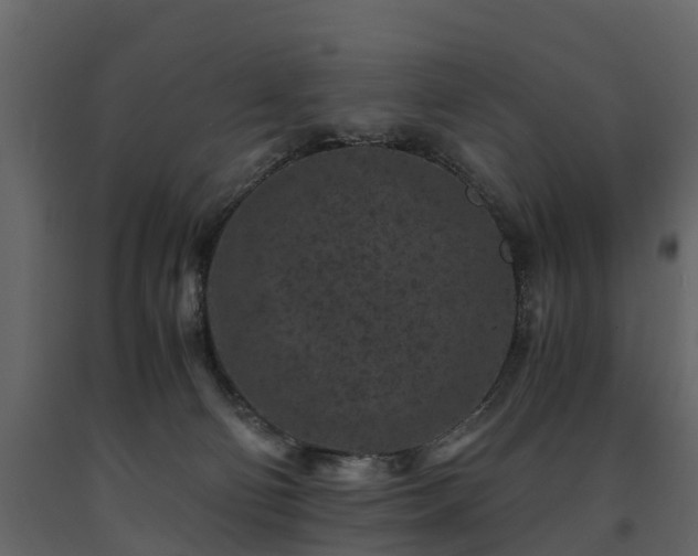 X0000091650130200708231229