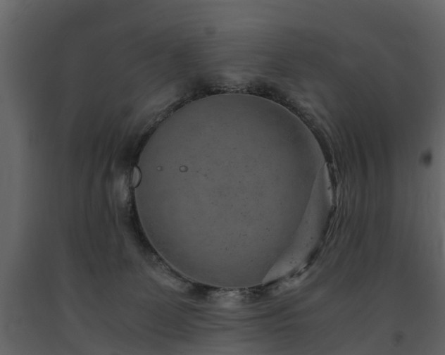 X0000091650131200708231229
