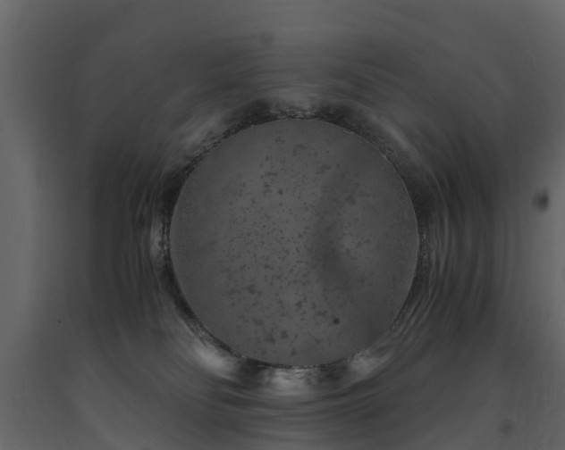 X0000091650134200708231229