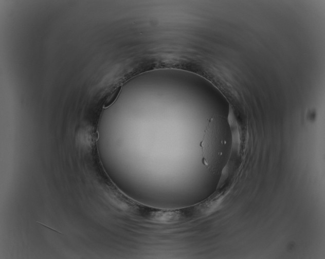 X0000091650135200708231229
