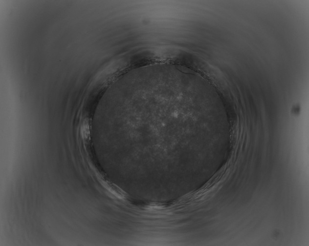 X0000091650137200708231229