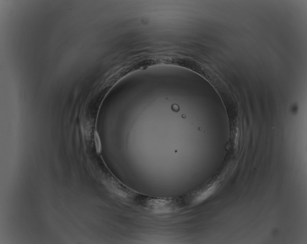 X0000091650139200708231229