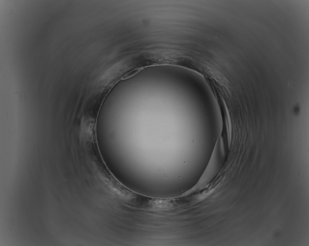 X0000091650141200708231229