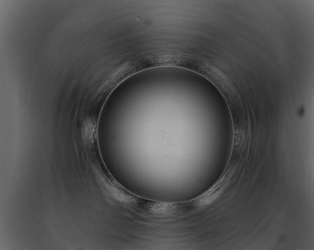 X0000091650142200708231229