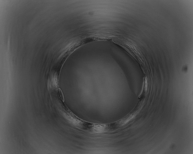 X0000091650143200708231229