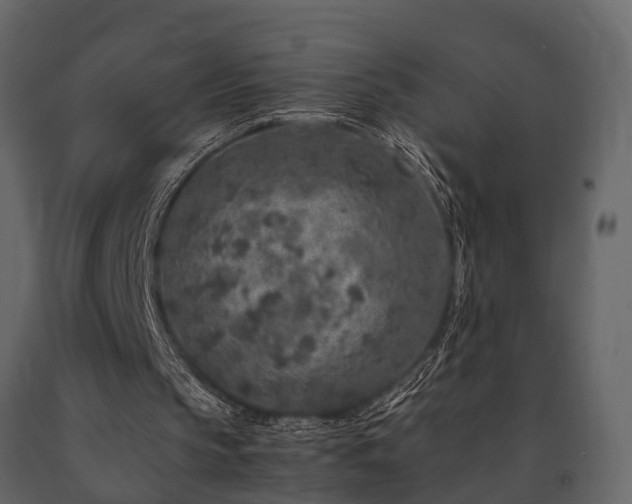 X0000091650145200708231228