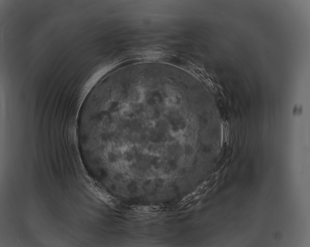 X0000091650147200708231229