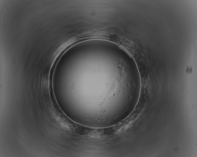 X0000091650148200708231229
