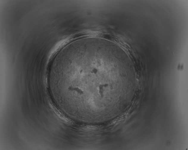 X0000091650149200708231229
