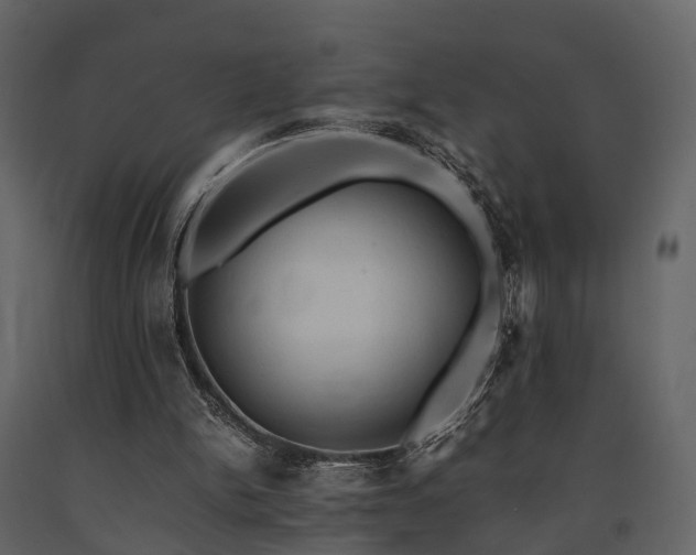 X0000091650150200708231229