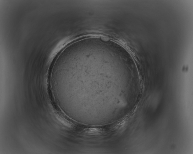 X0000091650151200708231229
