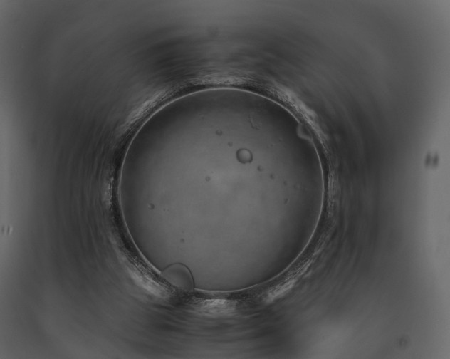 X0000091650153200708231229