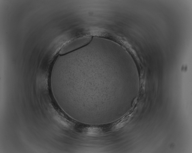 X0000091650154200708231229