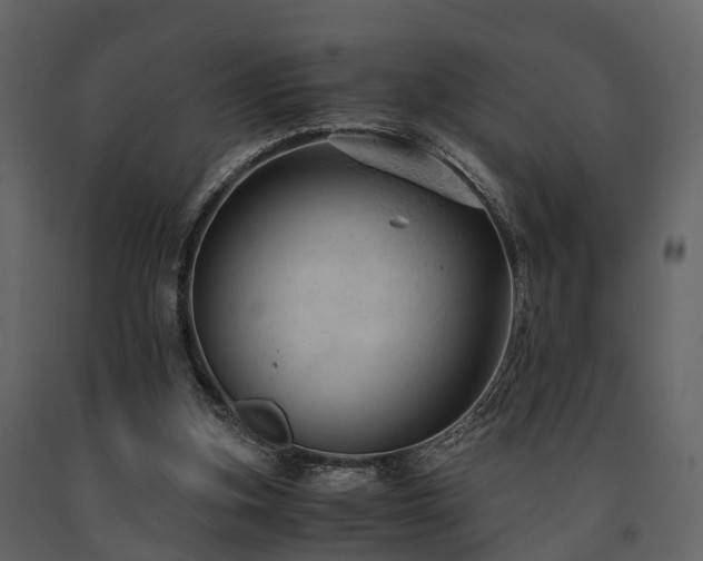 X0000091650155200708231229