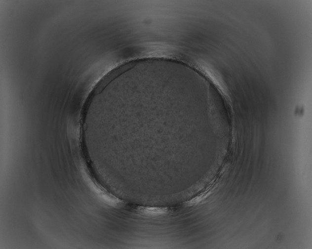 X0000091650156200708231229