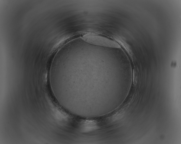 X0000091650157200708231229
