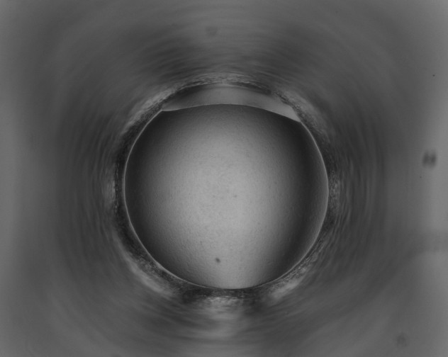 X0000091650158200708231229