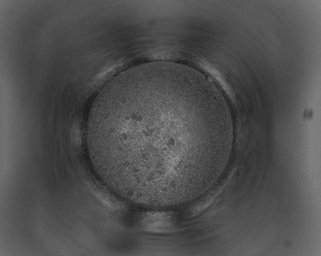 X0000091650161200708231229